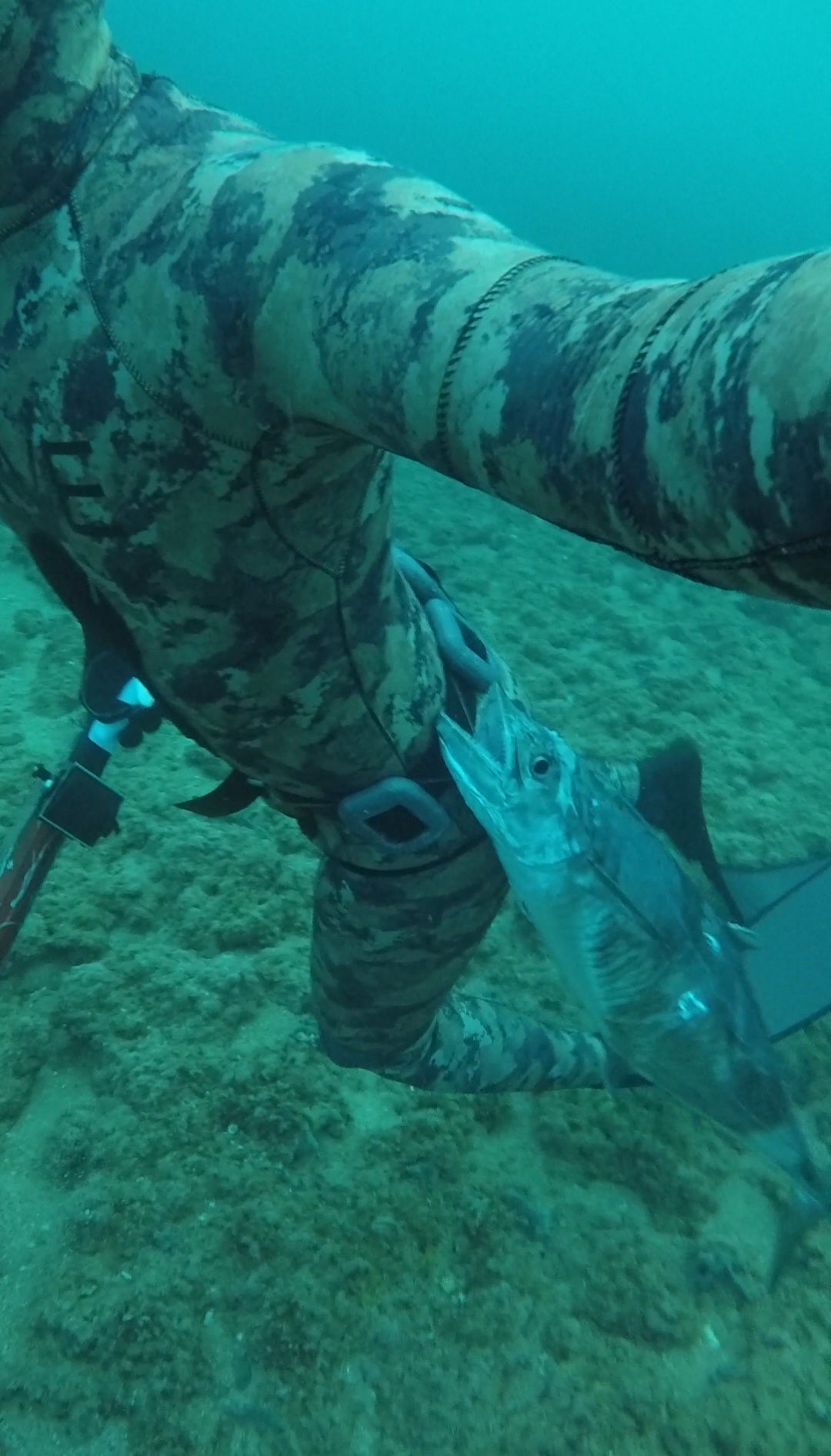 Fish Stringer