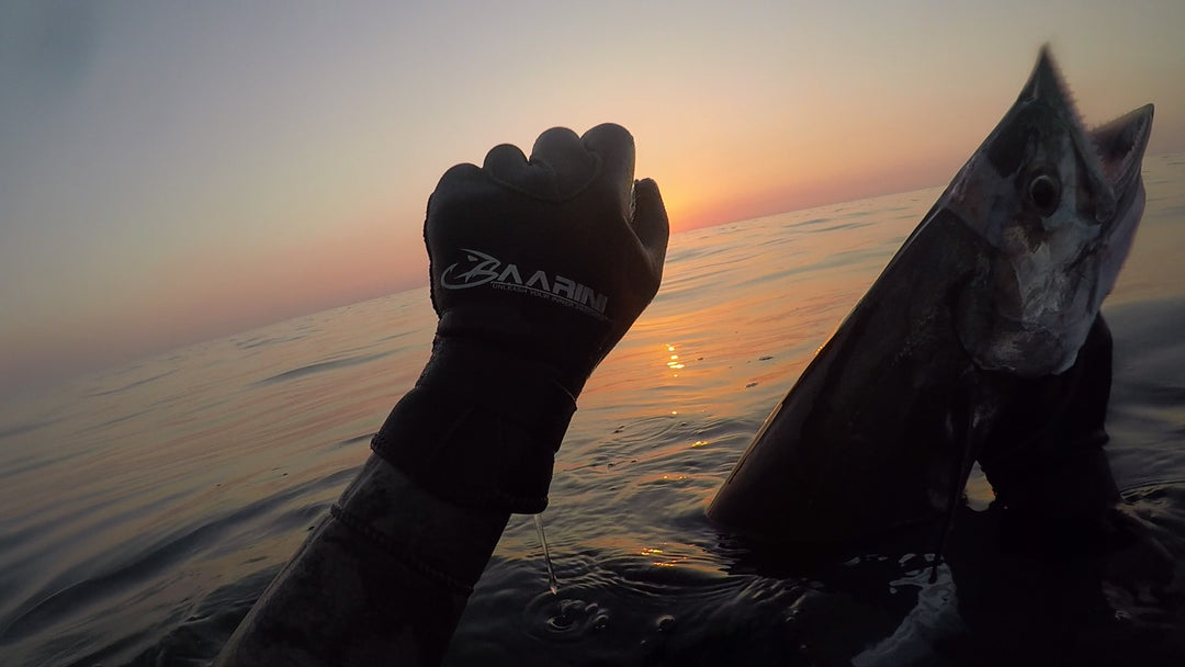 Baarini Gloves 3mm Black