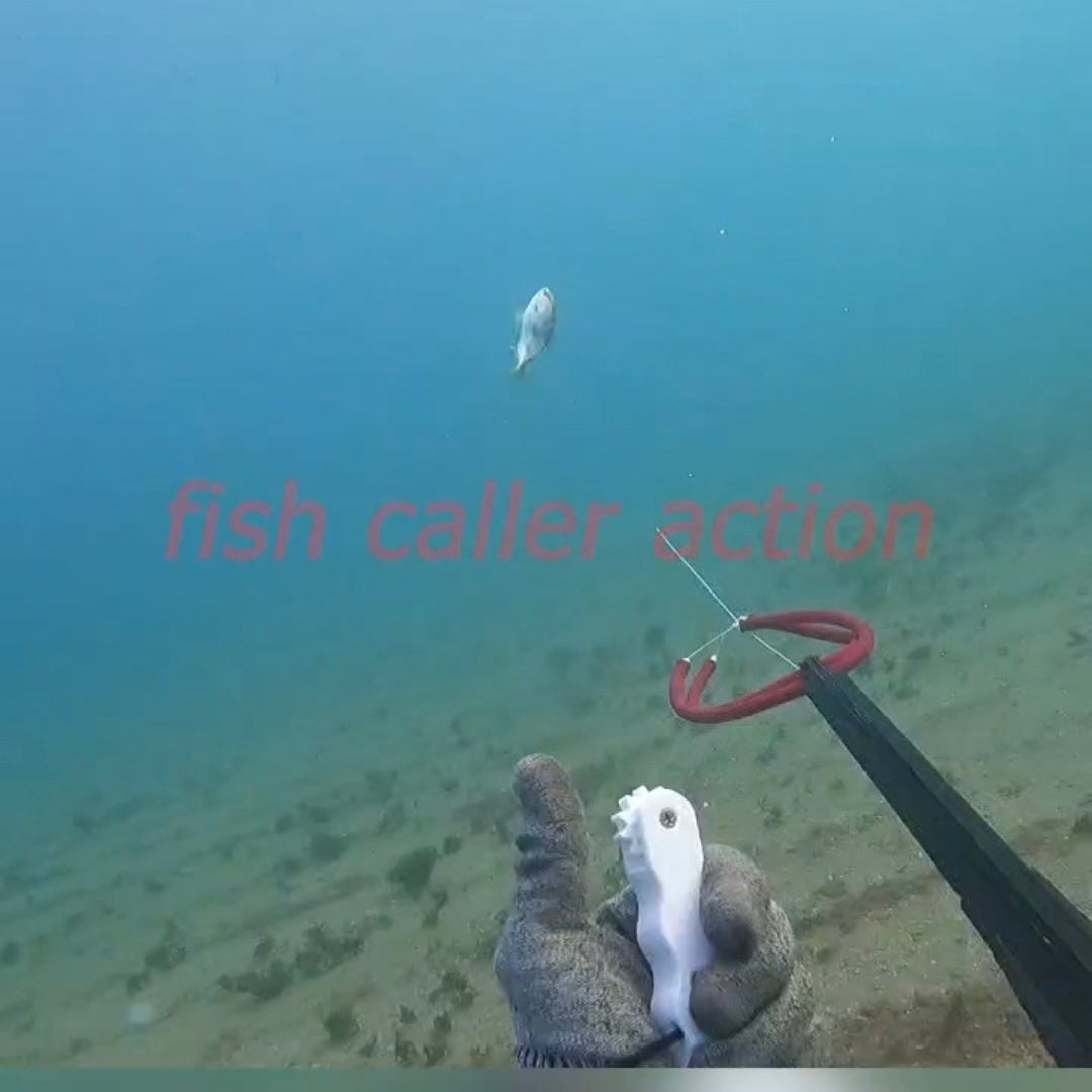 Fish caller
