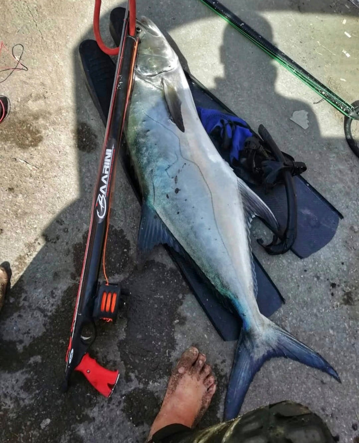 Baarini speargun Closed Advanced