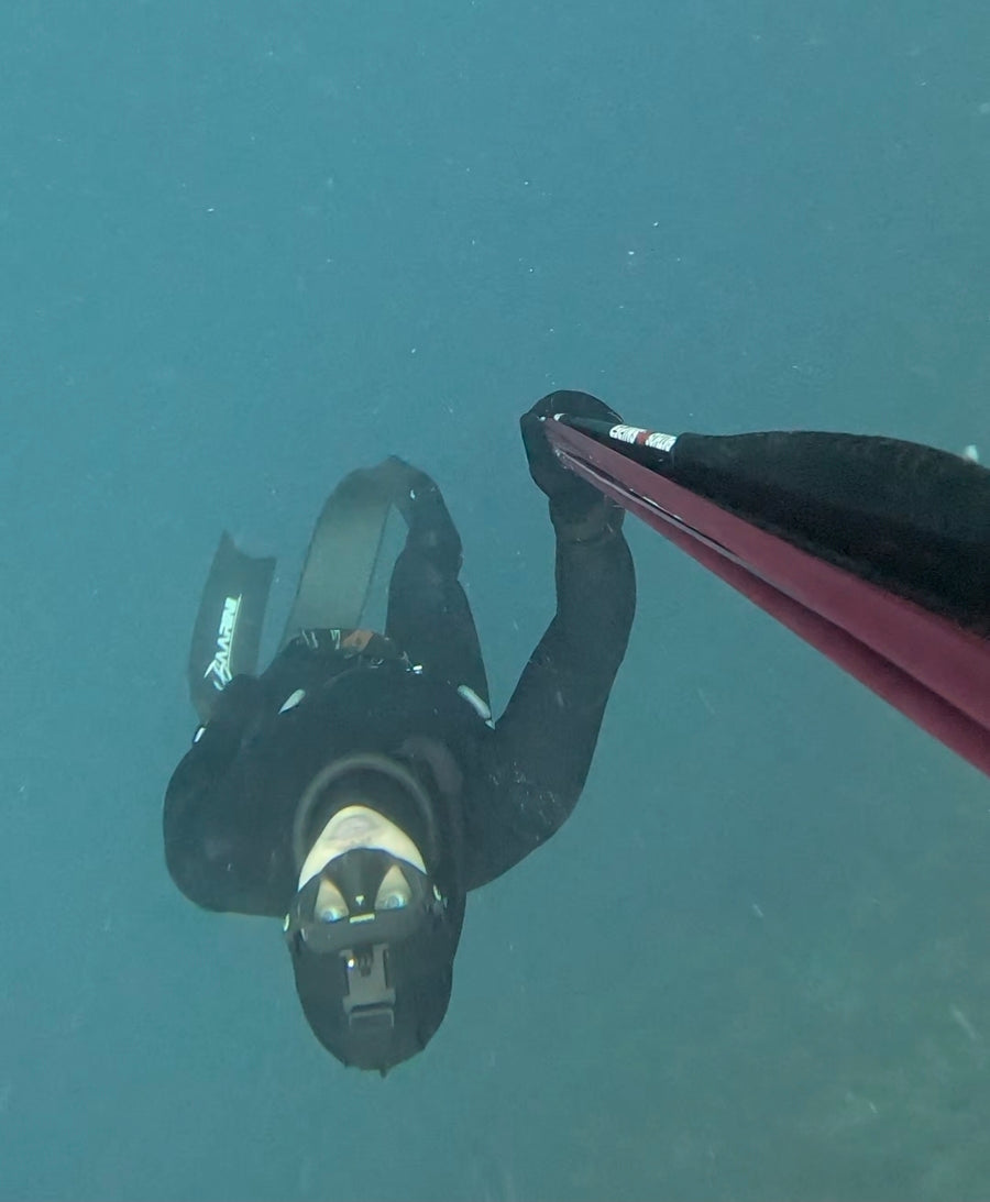 BAARINI CARBON FINS PRO