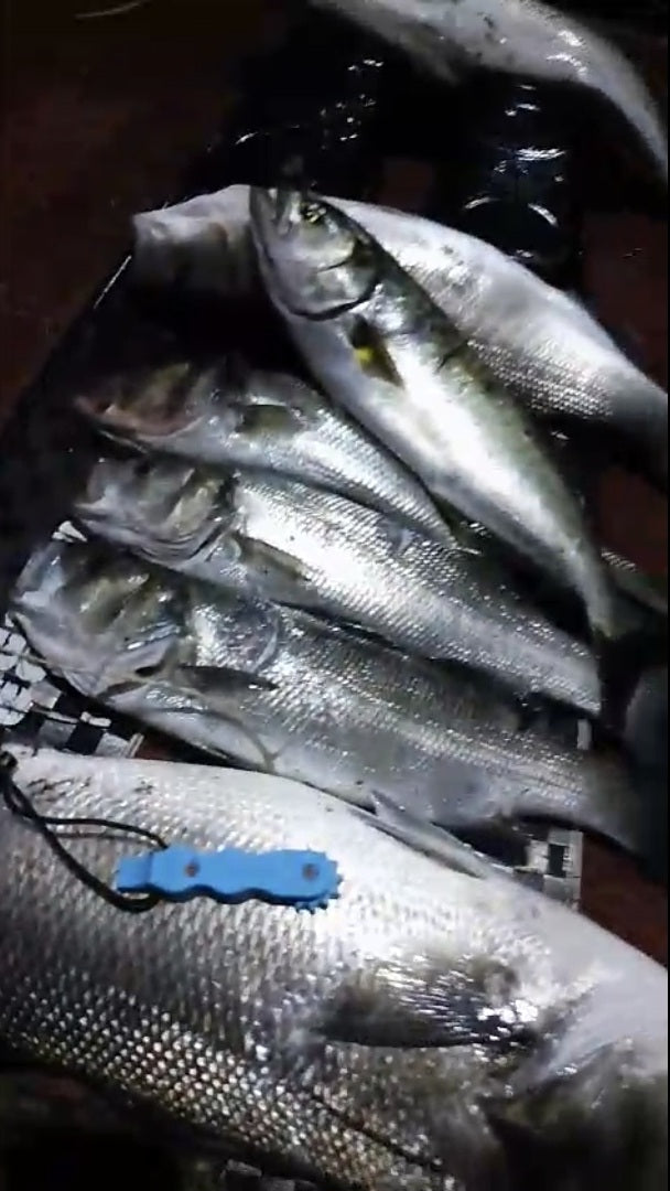 Fish caller