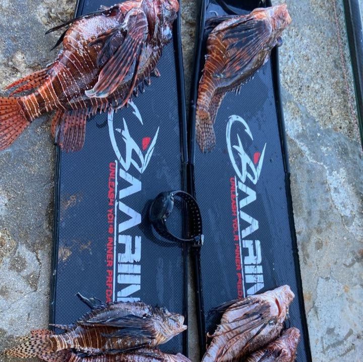 Baarini carbon fins Pro