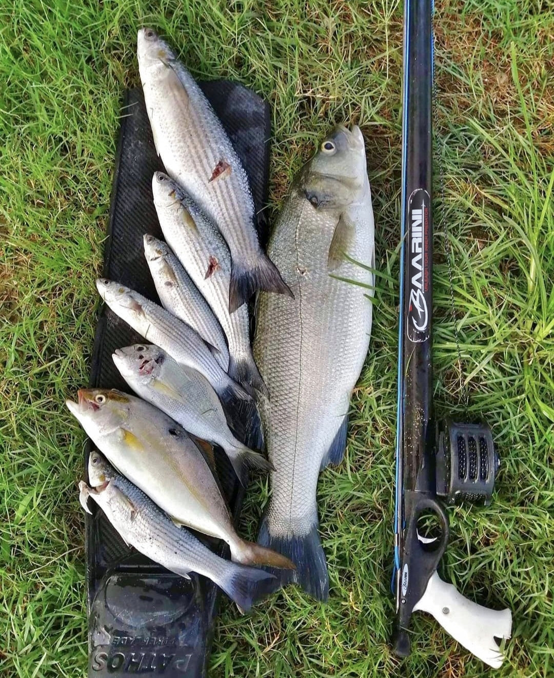 Baarini speargun Closed Advanced