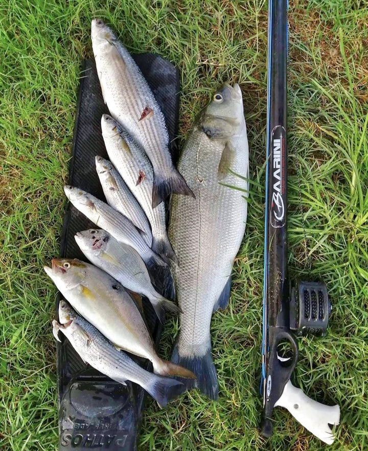 Baarini speargun Closed Advanced