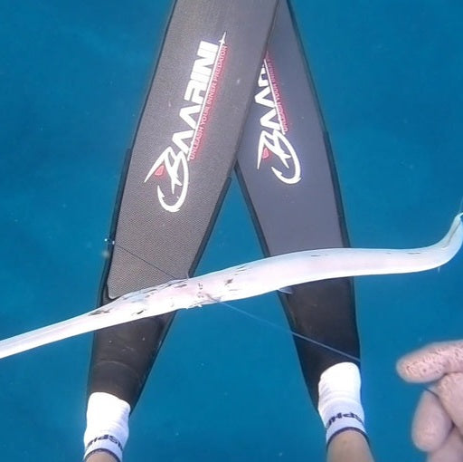 Baarini carbon fins Pro