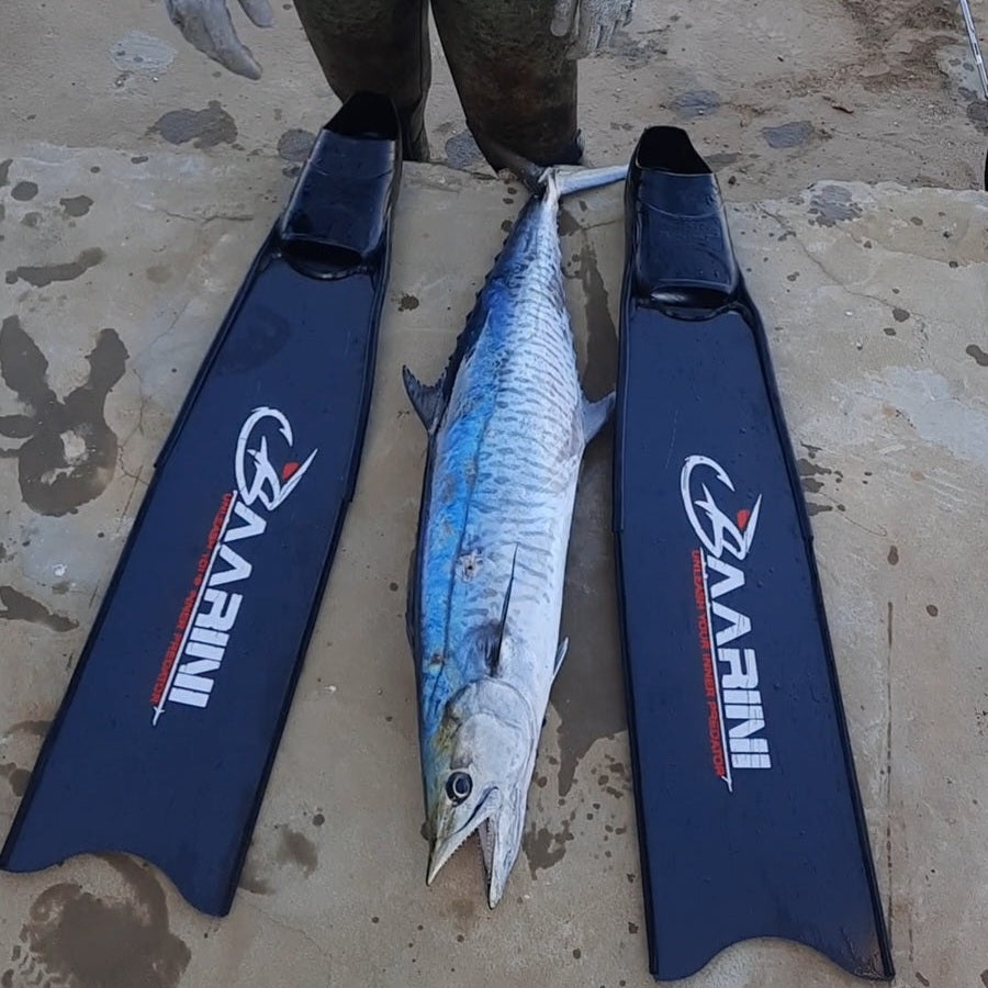 Baarini carbon fins Pro