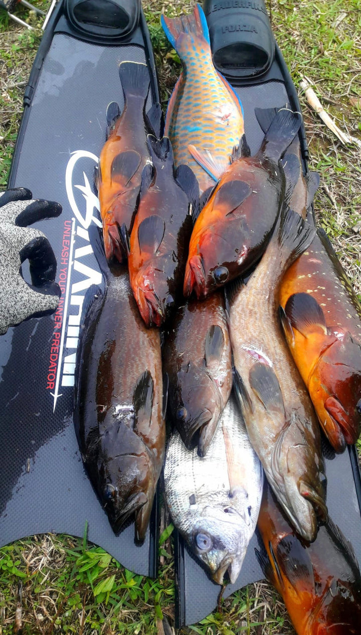 BAARINI CARBON FINS PRO