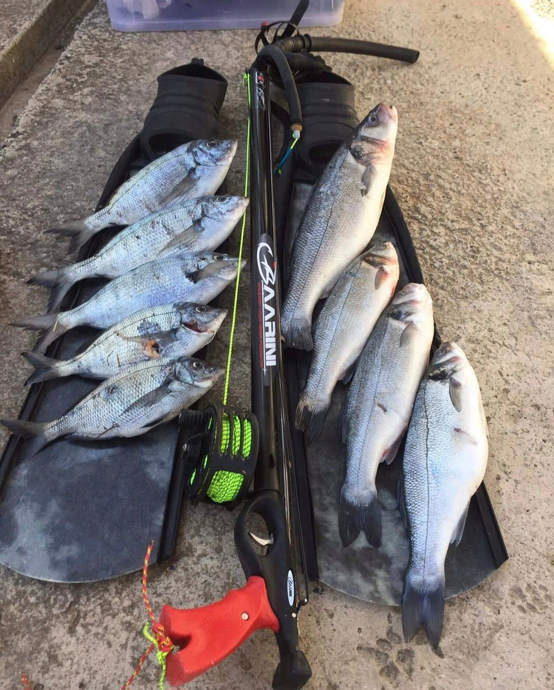 Baarini speargun Closed Advanced