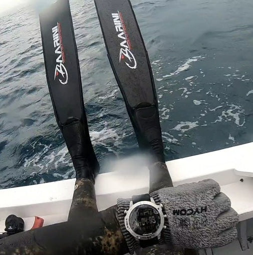 Baarini carbon fins Pro
