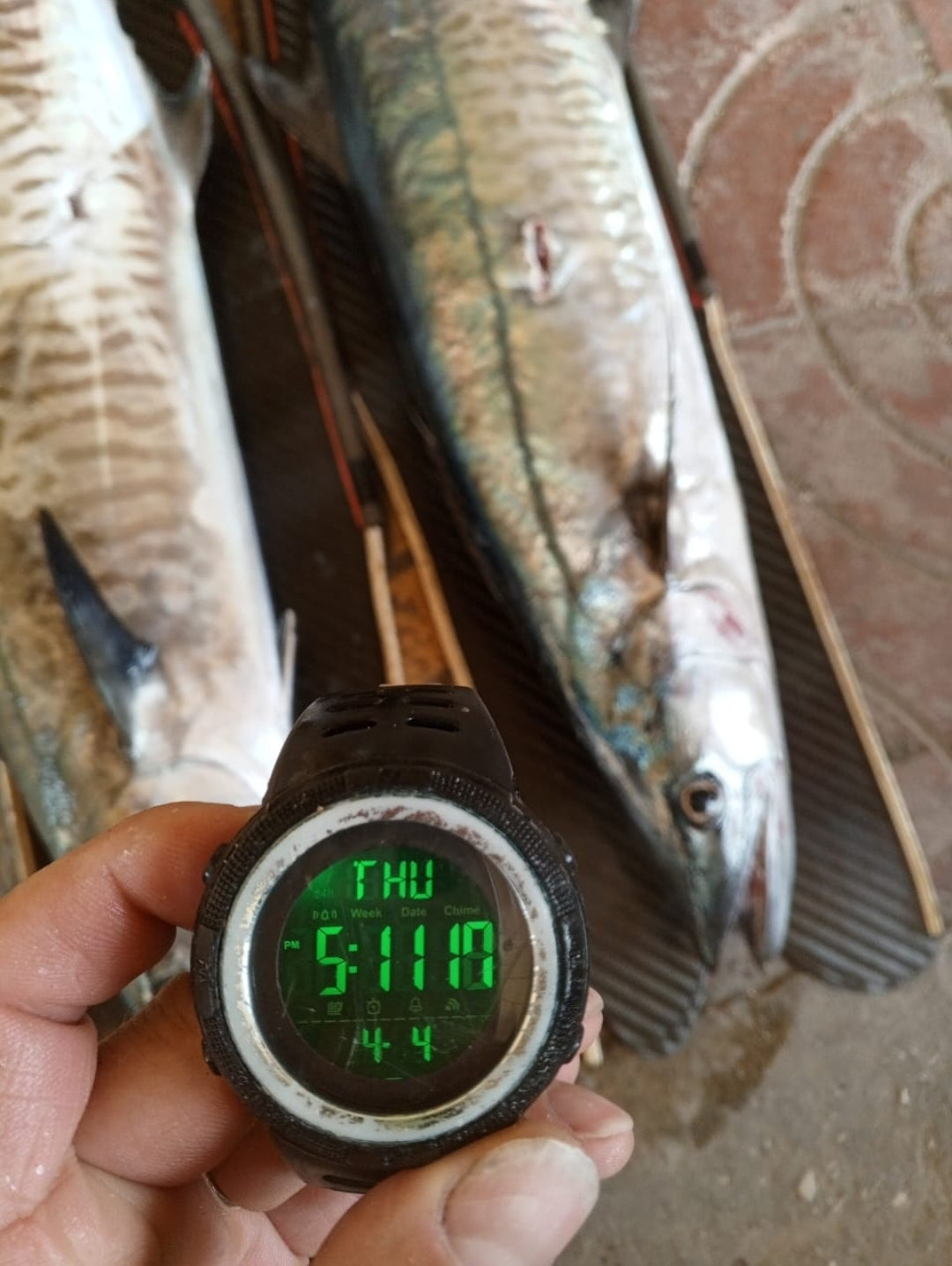SKMEI 1251 Digital Sports Watch – Durable, Waterproof, and Stylist