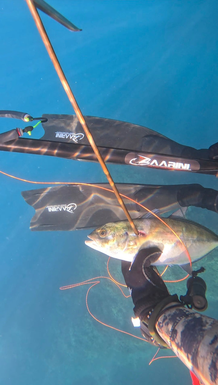 Baarini Fins Advanced