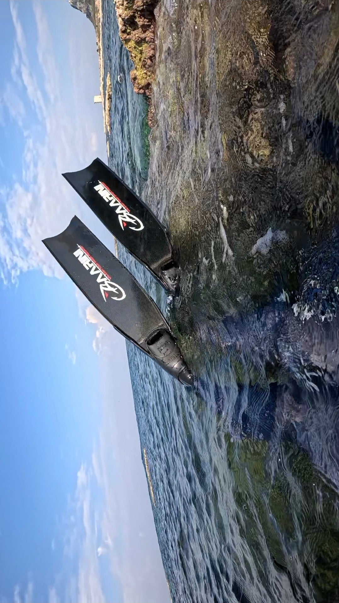 BAARINI CARBON FINS PRO