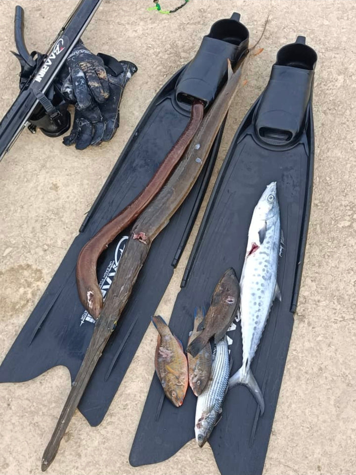 Baarini Fins Advanced