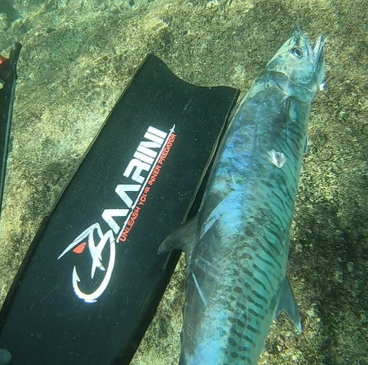 Baarini carbon fins Pro