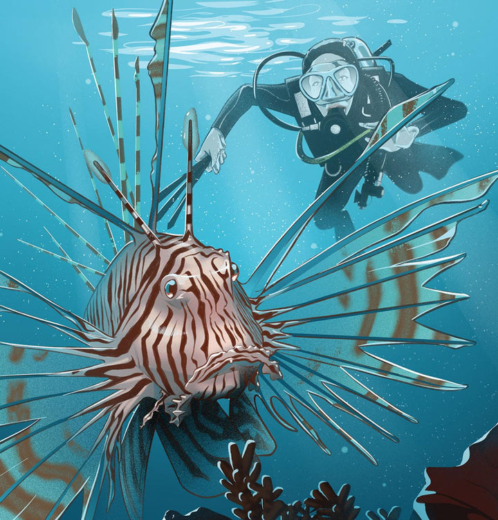 PoleSpear  Spearfishing Handspear For Fishing And Free Diving