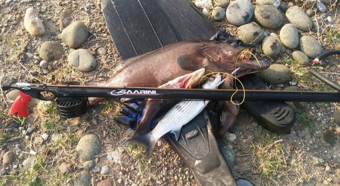 Baarini speargun Closed Advanced