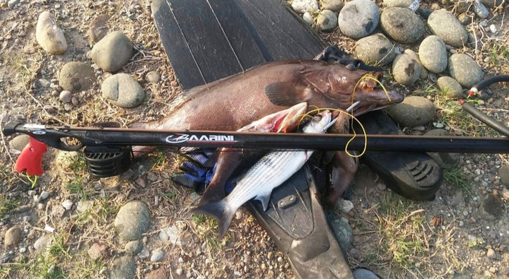 Baarini speargun Closed Advanced