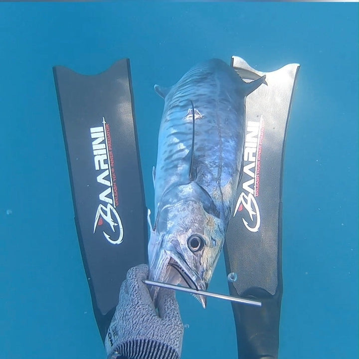 Baarini carbon fins Pro