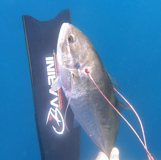 Baarini carbon fins Pro