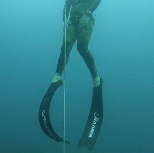 Baarini carbon fins Pro