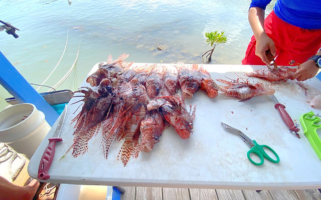 Lionfish Safety Shears