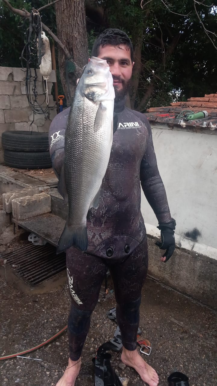 Baarini Yamamoto 5mm Spearfishing open cell winter Suit