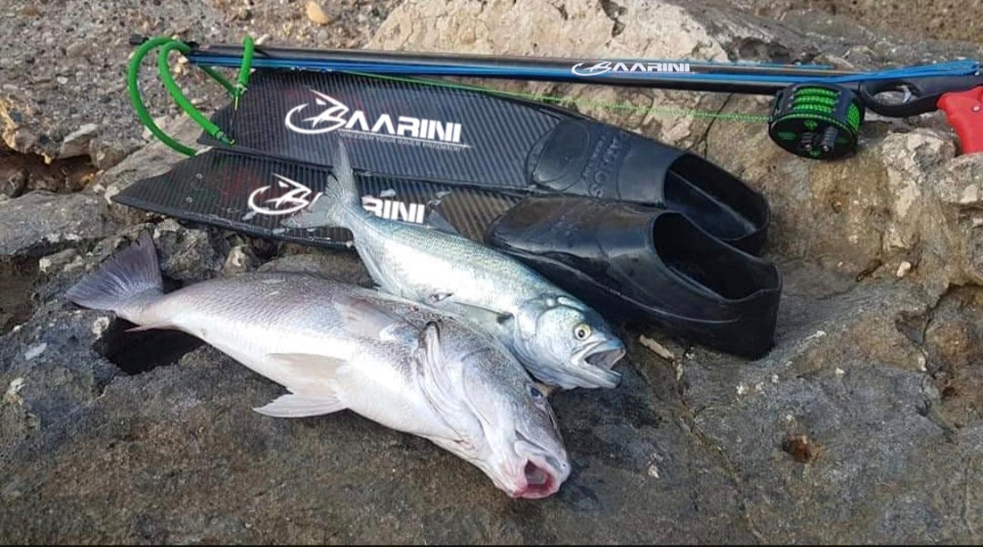 Baarini Speargun Open Head Pro