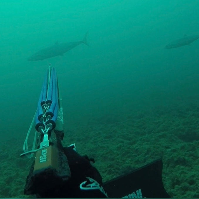 Baarini carbon fins Pro