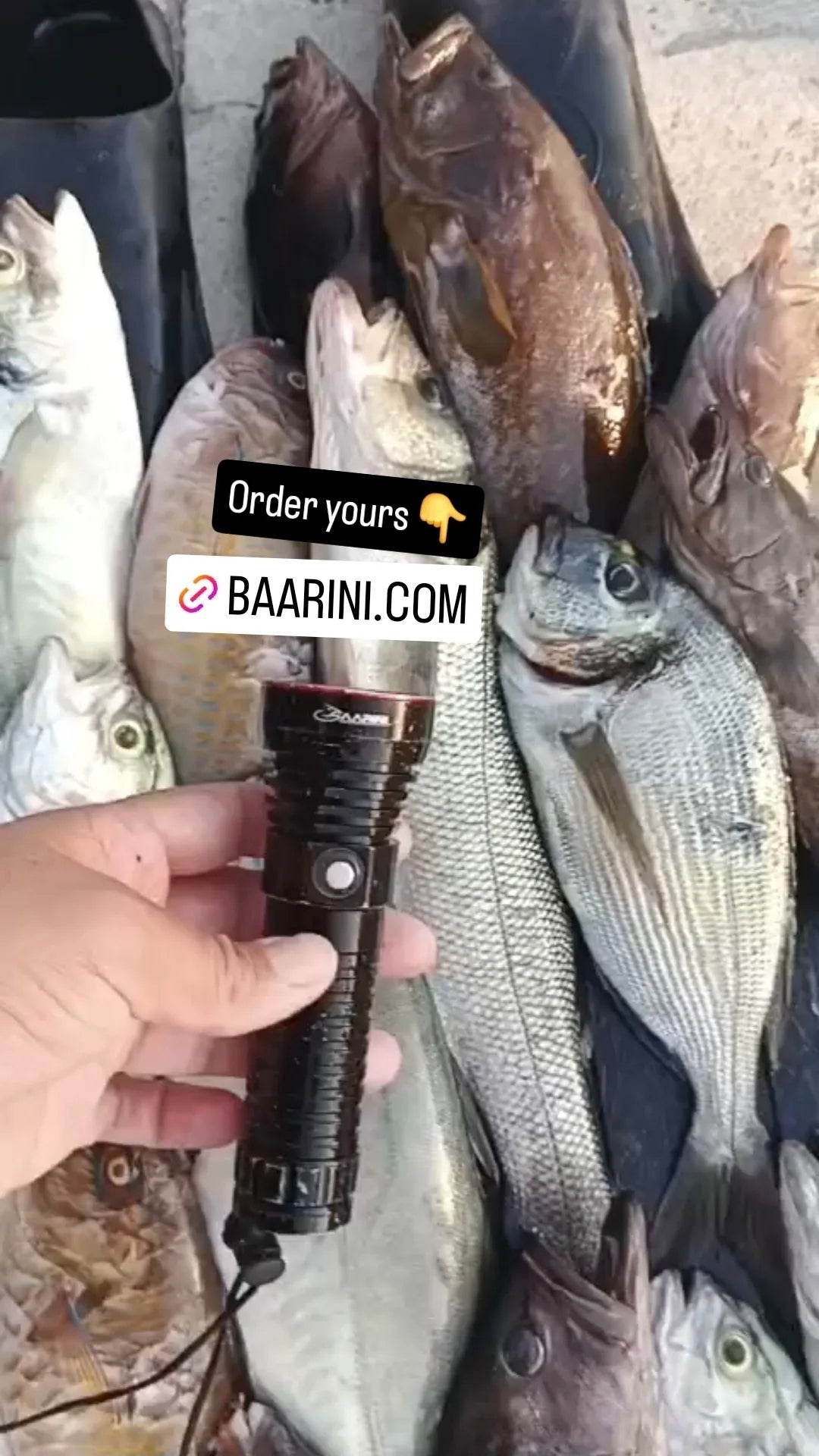 Baarini Flashlight